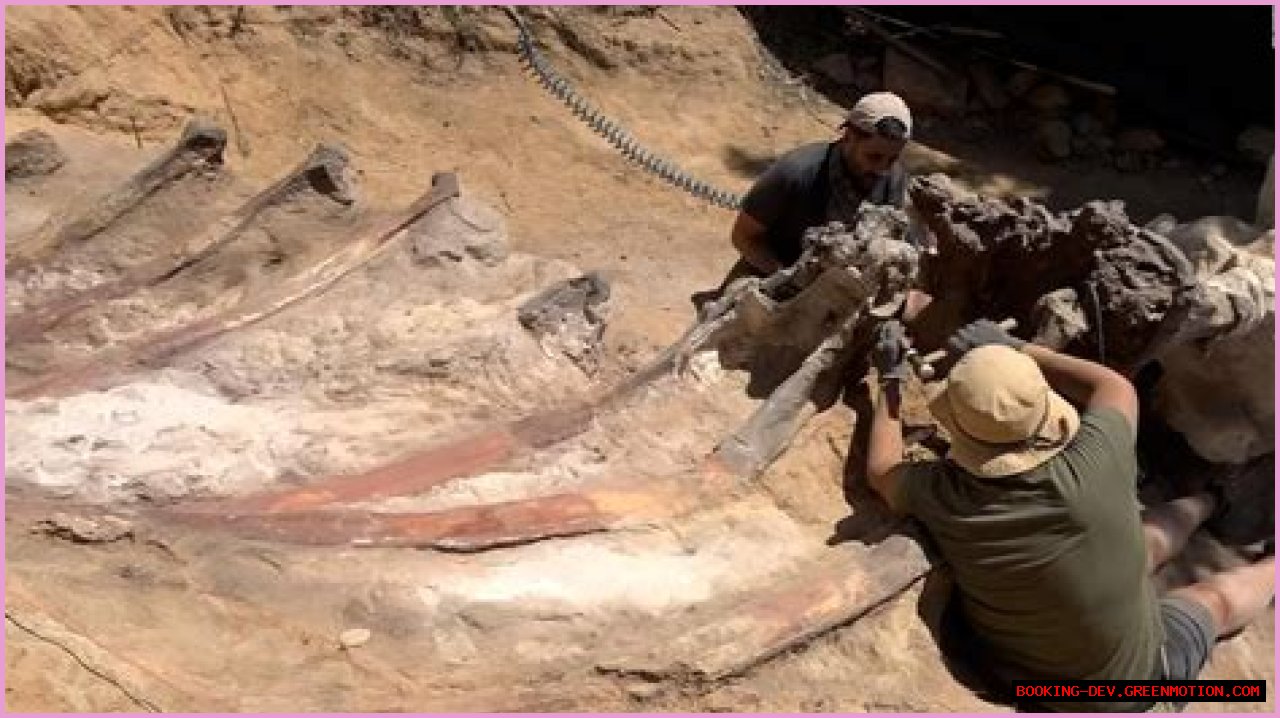 Digging Deep Into The Abby Berner Leaks: Uncovering Secrets And Consequences